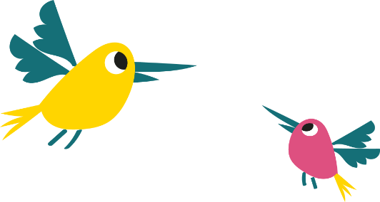 Birds Birds